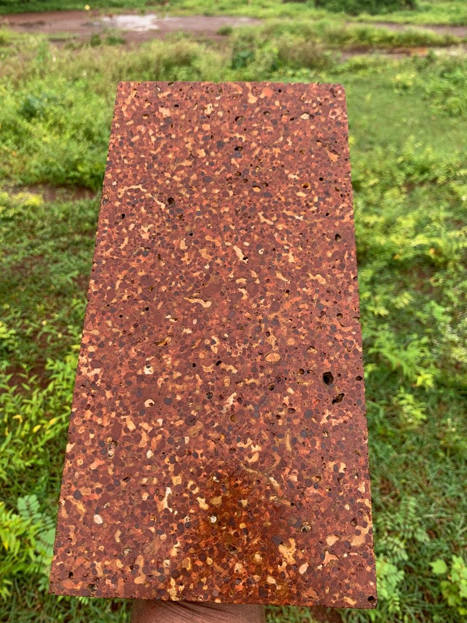 Laterite tile 2